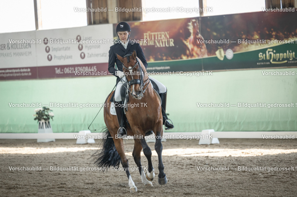 _D5A9766 | Emotionale Pferde- & People-Fotografie rund um Heidelberg, Leimen & Umgebung. Natürliche Fotos von Pferd, Mensch & Familie. Jetzt Termin sichern!