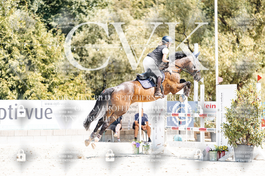CK900392 | Turnierfotografie Pferdefotografie Trier Rheinland-Pfalz Pferdesport Reitsport Tierfotografie Sportfotografie Pferdevideo Pferdevideografie Equestrianvideography equestrianphotography  - Realisiert mit Pictrs.com