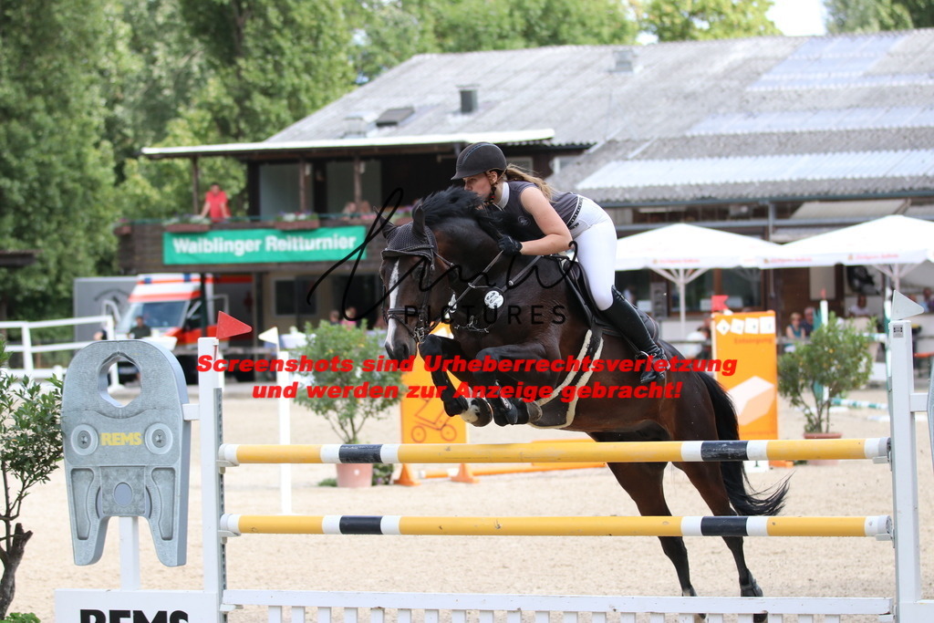 IMG_0707 | lmwpictures - Realisiert mit Pictrs.com