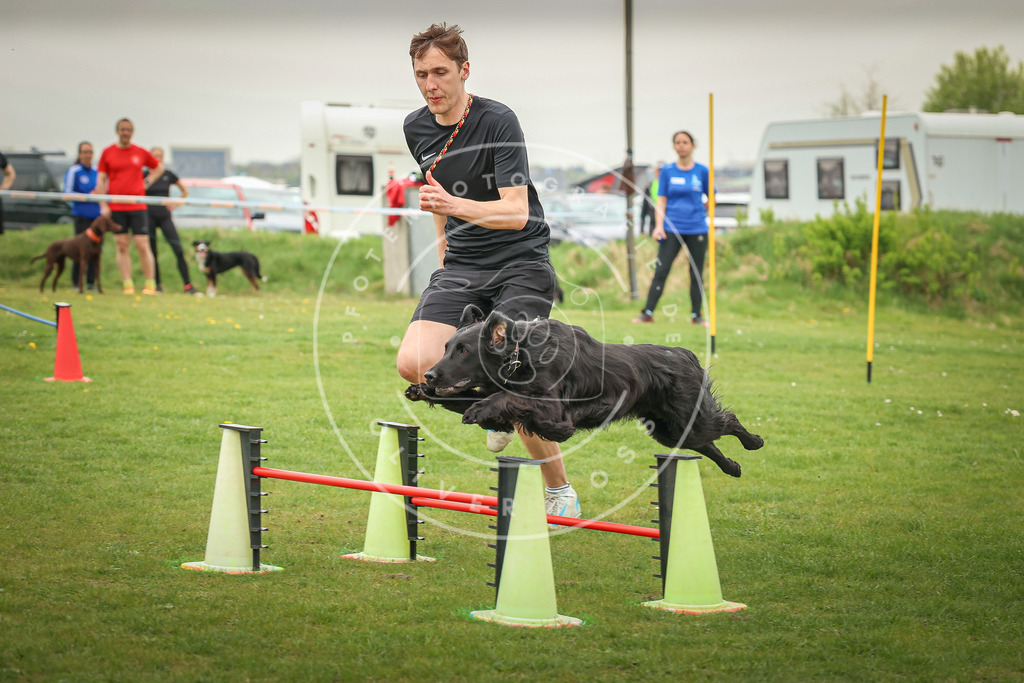 Pfotenfotografie_0L8A0495 | Hundefotografie, Tierfotograf, Pfotenfotografie, Fotoshooting Hund, Hunde Portrait, Hundesport, Hundeportraits, Heideshooting, Hunde, Sportfotograf, Hundefotograf, Turnierhundsport, THS,  - Realisiert mit Pictrs.com
