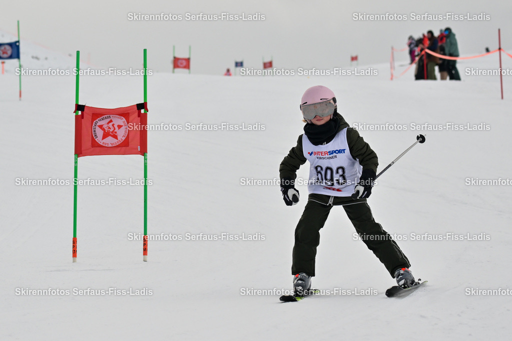 SRS_02.01.2026_0662 | SRS_02.01.2026_0662 - Realisiert mit Pictrs.com