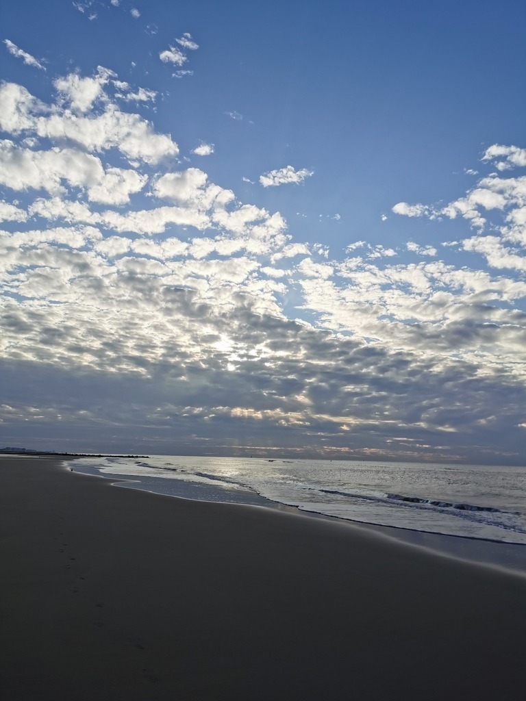 IMG_20240929_182327 | Pandiboo - Realisiert mit Pictrs.com