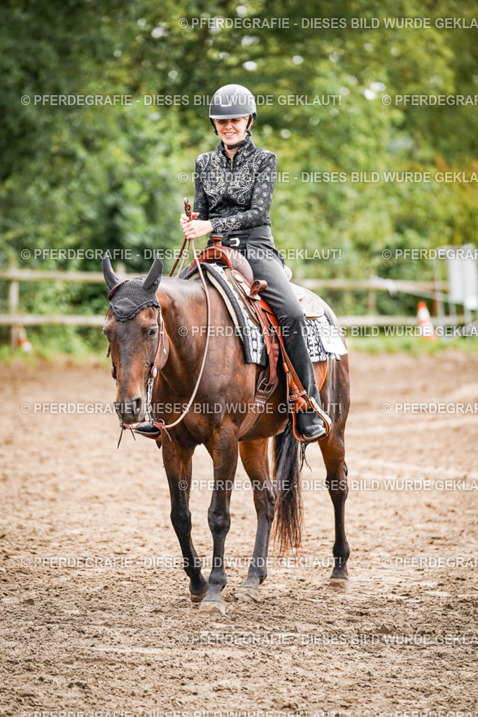 DSC04836 | Pferdegrafie