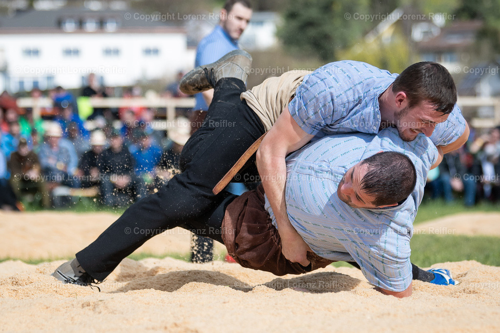 Schwingen -  Rheintal-Oberländer 2023 | Altstätten, 2.4.23, Schwingen - Rheintal-Oberländer.