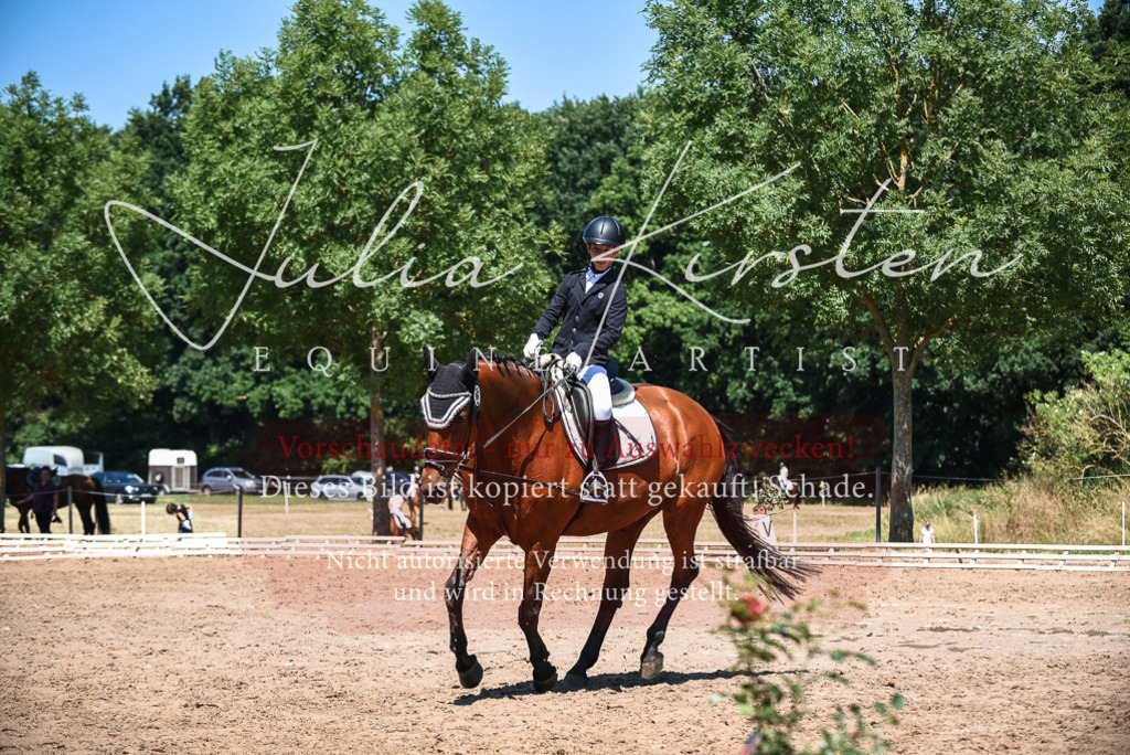 DSC_2973 | Pferde- und Turnierfotografie in Westsachsen. Pferdeportraits, Auftragszeichnungen und intuitive Kunst.