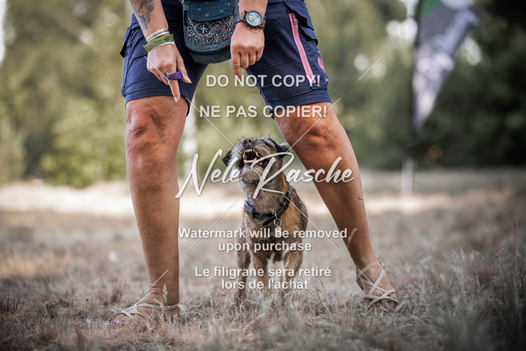 nelerasche_soDD1_64 | nelerasche