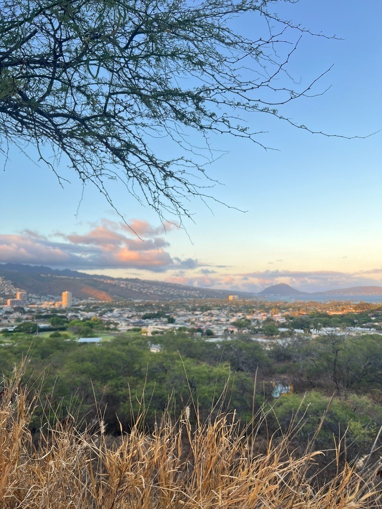 IMG_7747 | ace - Realisiert mit Pictrs.com