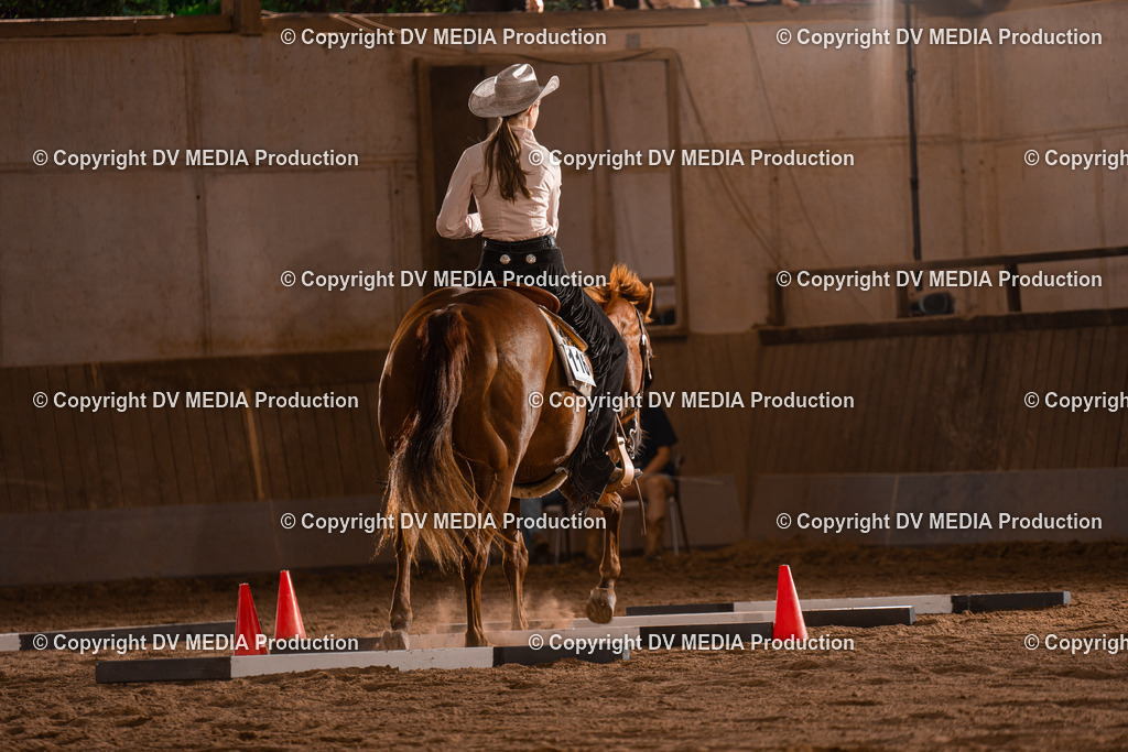 NE101196 | dv-media-shop - Realisiert mit Pictrs.com