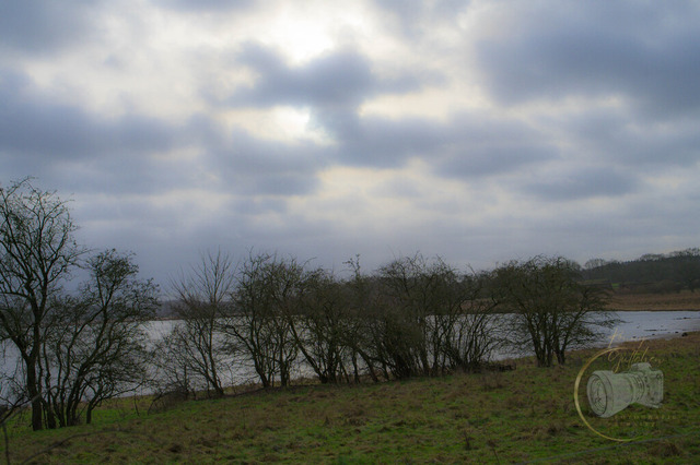 _DSC9156 | Shop für Prints Landschaftsfotografie Sächsische Schweiz Naturfotografie in Thüringen Fotos vom Findlingspark Nochten Kloster Sankt Marienstern Bilder Festung Königstein PanoramaRhododendronpark Kromlau FotogalerSchleswig-Holstein Küstenlandschaften