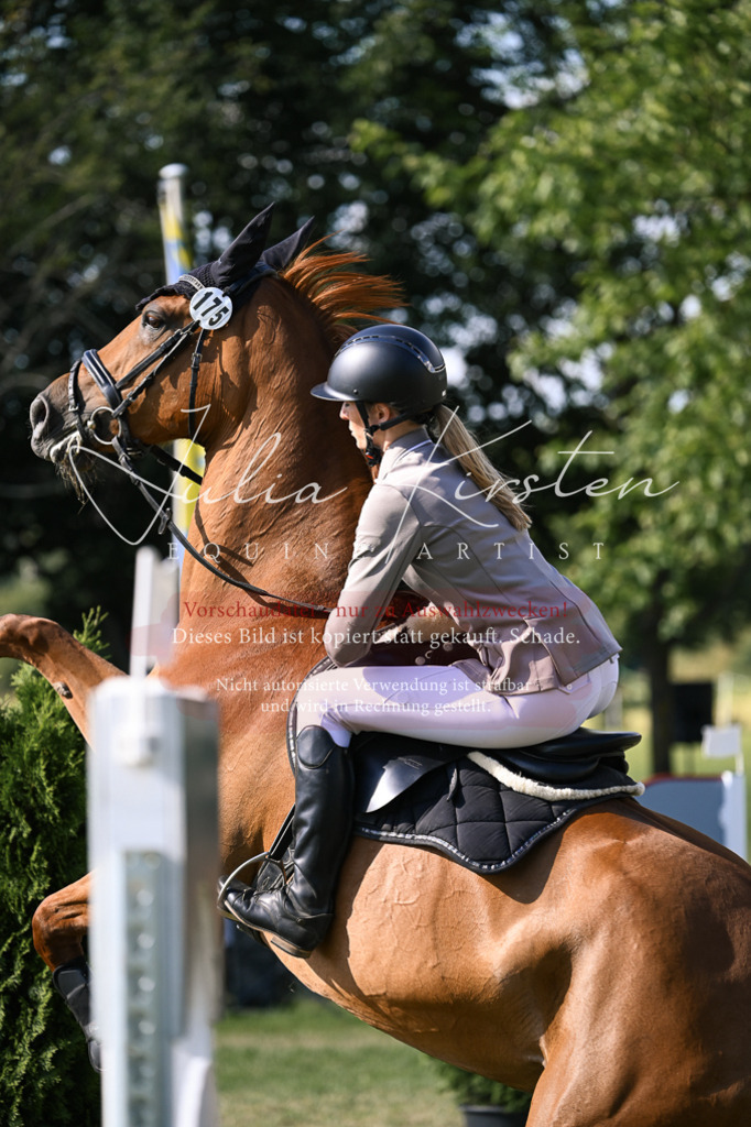 DSC_1279 | Pferde- und Turnierfotografie in Westsachsen. Pferdeportraits, Auftragszeichnungen und intuitive Kunst.