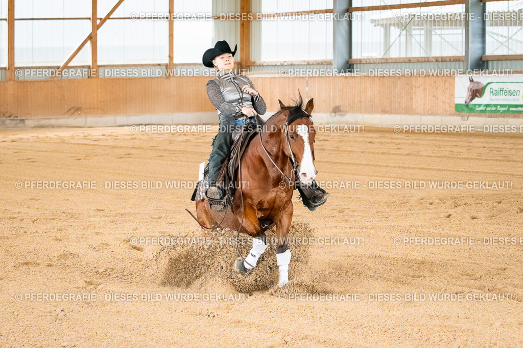 DSC02842 | Pferdegrafie