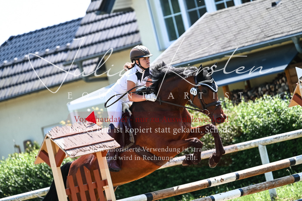 DSC_0407 | Pferde- und Turnierfotografie in Westsachsen. Pferdeportraits, Auftragszeichnungen und intuitive Kunst.