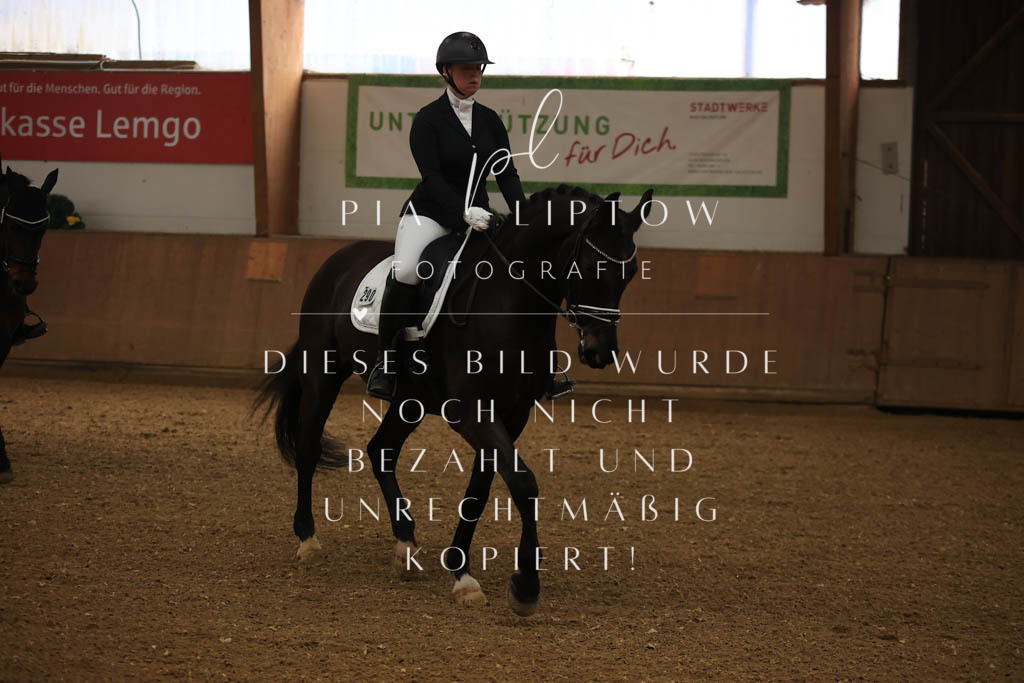 IMGT9771 | pl-fotografie