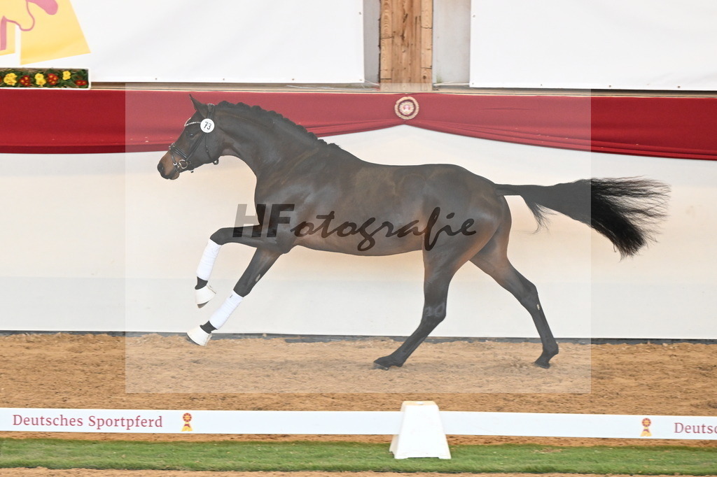 Kat.-Nr. 73 v. McLaren_Schulze Averdiek_2250639 | hf-fotografie - Realisiert mit Pictrs.com