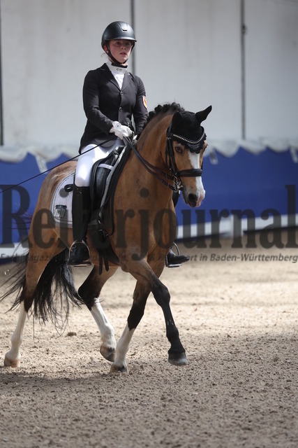 Pforzheim_2024_Prfg.Nr.12_Dressurreiterprfg.Kl.M_Nürnberger-Burgpokal_Cecile Mutz_Capri au Lait (7) | Alle Fotos der Reiterjournal Fotografin Doris Matthaes im Reiterjournal Online-Fotoshop. - Realisiert mit Pictrs.com