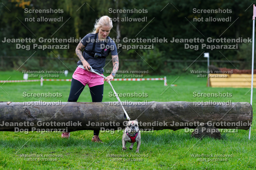 Dog Paparazzi -  SD1026-1300 | Dog Paparazzi Jeanette Grottendiek Fotografie & Videografie - Realisiert mit Pictrs.com