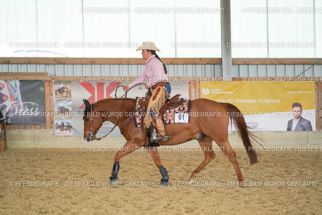 DSC02075 | Pferdegrafie