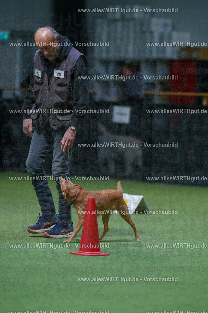 7R502591 | Professionelle Tierfotografie in Mönchengladbach von Daniel Wirth (allesWIRTHgut). Liebevolle & natürliche Bilder von Hunden & Katzen für unvergessliche Erinnerungen.