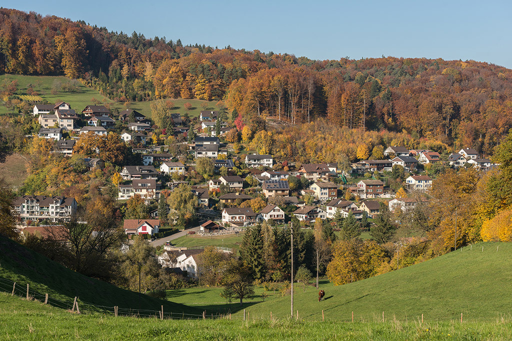 Wohnquartier Steinenbühl | in Ziefen, Baselland, Schweiz. - Realisiert mit Pictrs.com