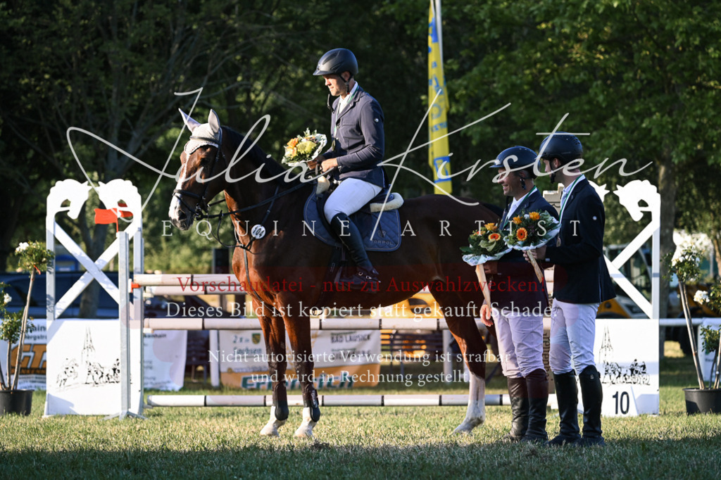DSC_2033 | Pferde- und Turnierfotografie in Westsachsen. Pferdeportraits, Auftragszeichnungen und intuitive Kunst.
