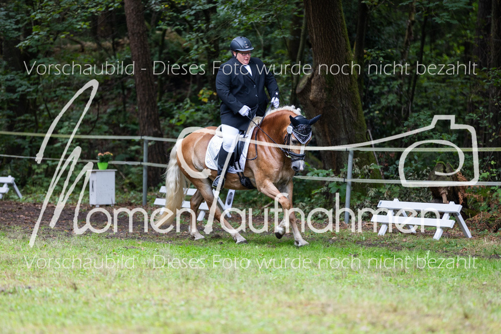 HB-A-Dressur-133 | MomenTaufnahmen Pferdesportfotos