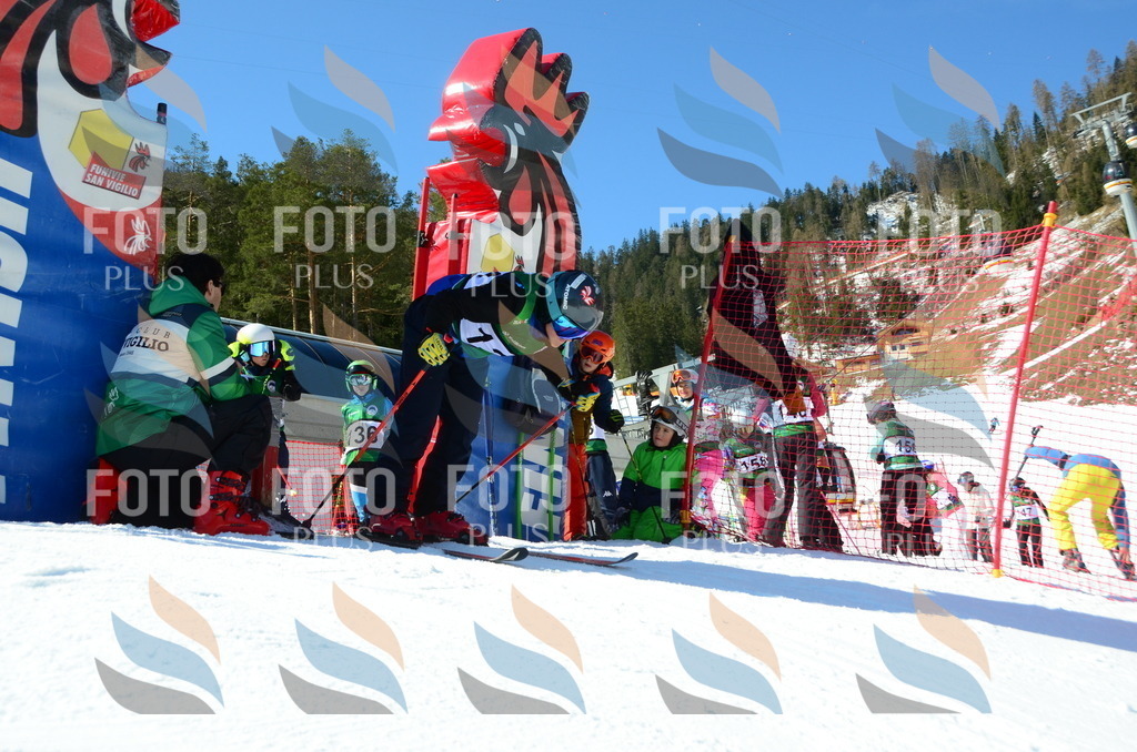 C5985 | holidayphoto