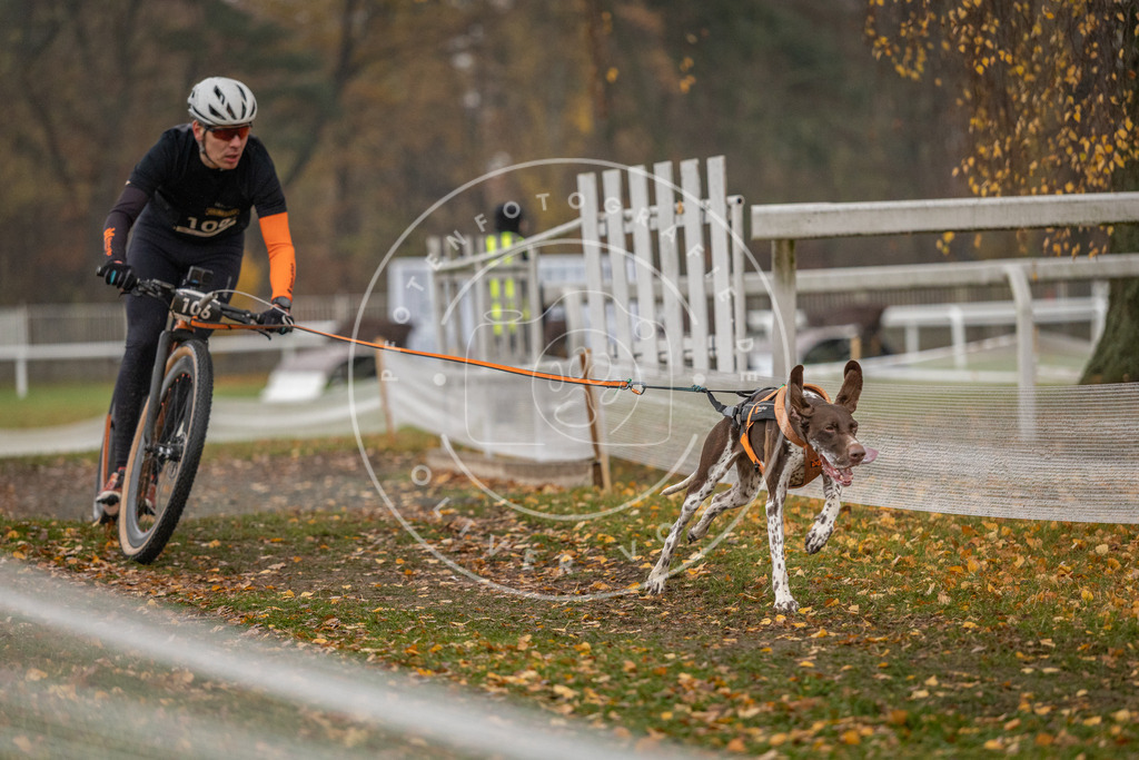 CaniXpix_DV3A7681 | Hundefotografie, Tierfotograf, Pfotenfotografie, Fotoshooting Hund, Hunde Portrait, Hundesport, Hundeportraits, Heideshooting, Hunde, Sportfotograf, Hundefotograf, Turnierhundsport, THS,  - Realisiert mit Pictrs.com