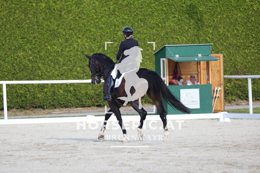 0P6A3754 | Willkommen bei Brunnmayr - Design & Fotografie – Ihrem Spezialisten für Reitturniere und Pferdeveranstaltungen in Oberösterreich, Salzburg und Bayern! Seit über 17 Jahren sind wir leidenschaftlich dabei.