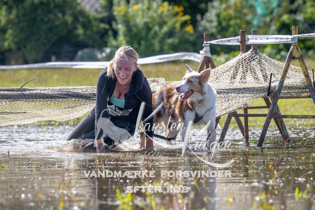 1211_ZZ90515 | kk-dogfotos