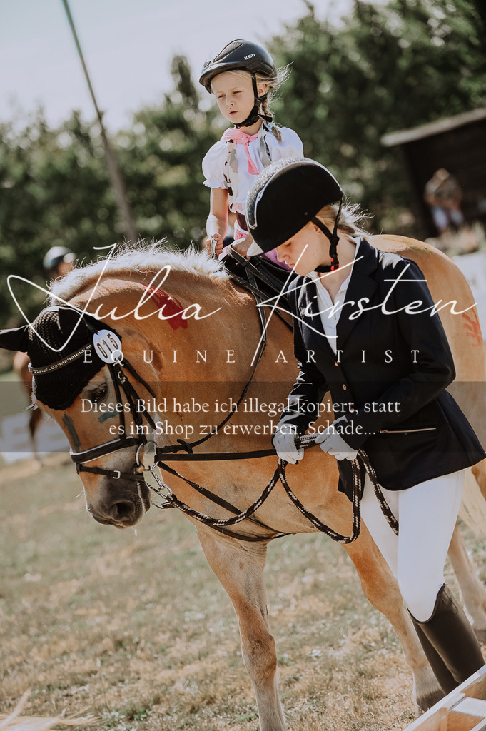 DSC_8975 | Pferde- und Turnierfotografie in Westsachsen. Pferdeportraits, Auftragszeichnungen und intuitive Kunst.