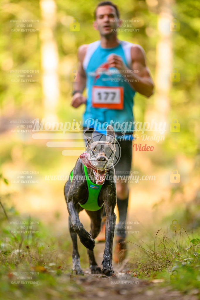 MompixPhotography_Yens2025_B3-211 | PayLife
