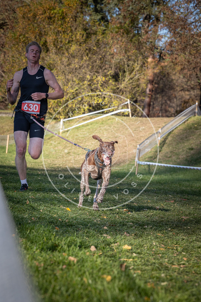 CaniXpix_0L8A8898 | Hundefotografie, Tierfotograf, Pfotenfotografie, Fotoshooting Hund, Hunde Portrait, Hundesport, Hundeportraits, Heideshooting, Hunde, Sportfotograf, Hundefotograf, Turnierhundsport, THS,  - Realisiert mit Pictrs.com