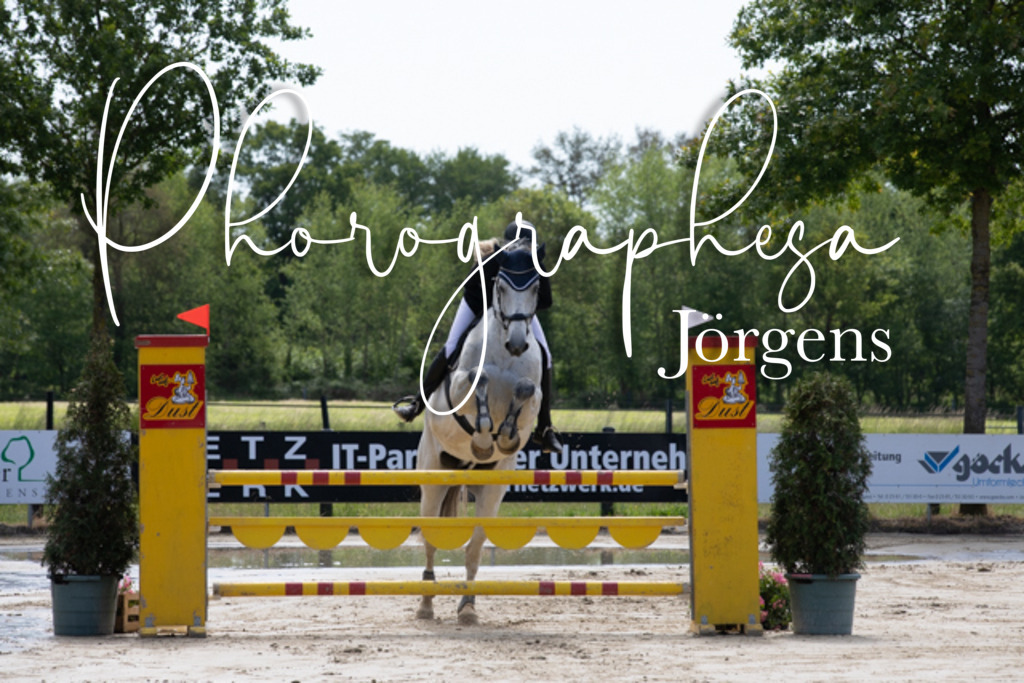 IMG_4016 | photographesa-joergens - Realisiert mit Pictrs.com