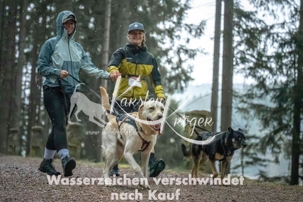 0836_ZZ92203 | kk-dogfotos