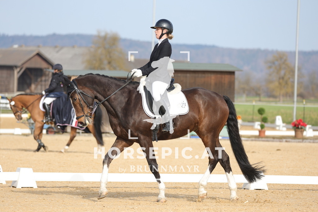 0P6A6136 | Willkommen bei Brunnmayr - Design & Fotografie – Ihrem Spezialisten für Reitturniere und Pferdeveranstaltungen in Oberösterreich, Salzburg und Bayern! Seit über 17 Jahren sind wir leidenschaftlich dabei.