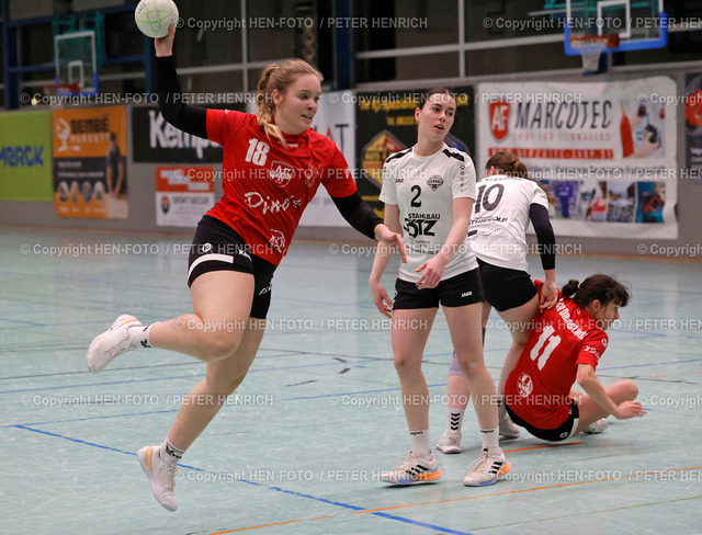 TGB Darmstadt holt Punkte im Abstiegskampf | 22.02.2025 Handball Damen Oberliga Süd TGB Darmstadt vs HSG Odenwald (30:19) v. li. Lisa Zerhusen (18 TGB) Helena Meisinger (2 HSG) Aline Berres (10 HSG) Elena Taboada Meyer (11 TGB) verletzt sich bei dieser Aktion erheblich (Foto: Peter Henrich) - Realisiert mit Pictrs.com