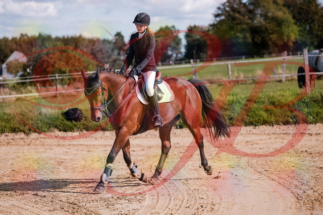 2026_10_03_Siefer-Hof_143553_Z81_05172594 | Professionelle Reitsport-, Turnier- und Eventfotografie von Robert Broda. Galerien mit ausgewählten und bearbeiteten Bildern direkt online ansehen und bestellen.