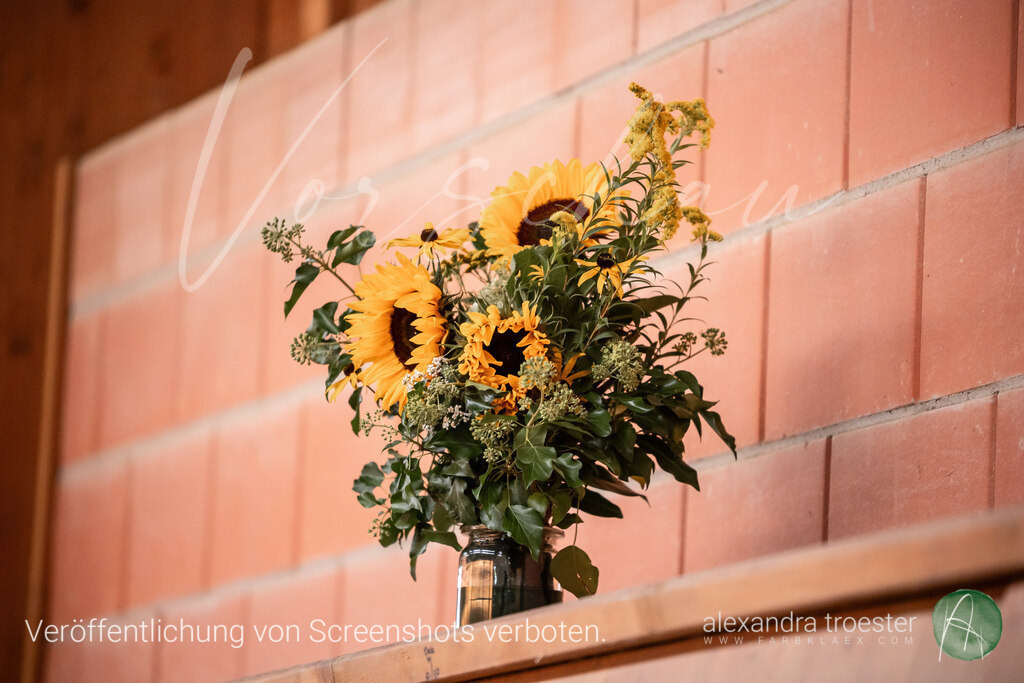 250912_Barop_10-2_097 | farbklaex.com