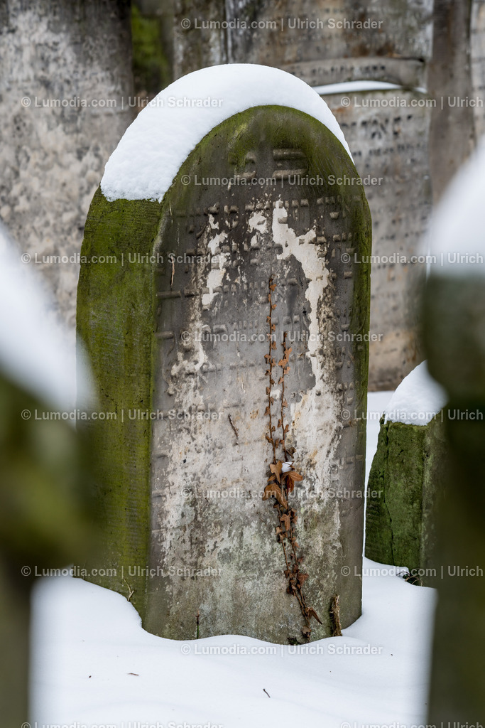 100494-3568 - Jüdischer Friedhof in Halberstadt | max. Bildgröße A2 | 300dpi - Realisiert mit Pictrs.com