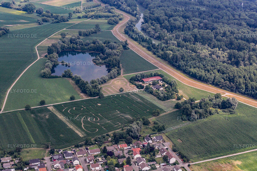 Luftbild: Maislabyrinth Seehof in Leimersheim im Bundesland Rheinland-Pfalz in Deutschland. Foto: IMG_19163.jpg vom 05.07.2009 durch Werner Riehm/FLY-FOTO.de