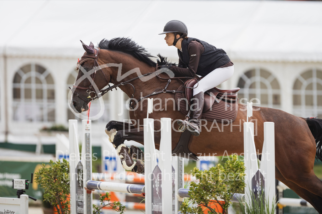 250710_BHO_Stil-L-1-185 | Deine schönsten Turniermomente als professionelle Fotos! Entdecke hochwertige Pferdesport-Fotografie im Online-Shop. Jetzt Fotos finden & bestellen!