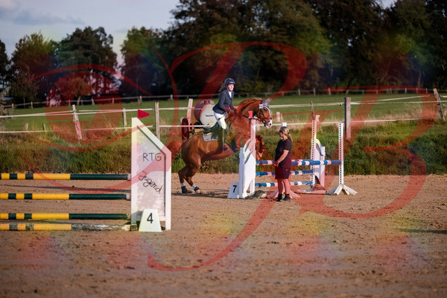 2026_10_03_Siefer-Hof_171247_Z81_09978136 | Professionelle Reitsport-, Turnier- und Eventfotografie von Robert Broda. Galerien mit ausgewählten und bearbeiteten Bildern direkt online ansehen und bestellen.