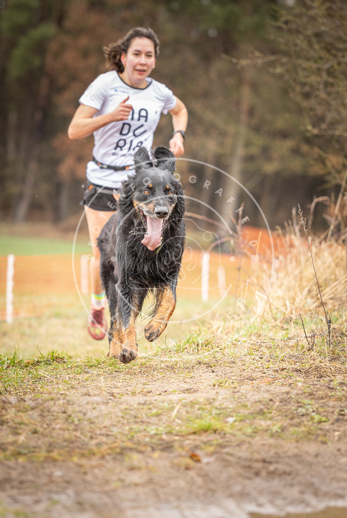 DV3A0158 | Hundefotografie, Tierfotograf, Pfotenfotografie, Fotoshooting Hund, Hunde Portrait, Hundesport, Hundeportraits, Heideshooting, Hunde, Sportfotograf, Hundefotograf, Turnierhundsport, THS,  - Realisiert mit Pictrs.com