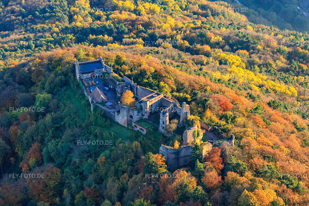 Burgruine Madenburg im herblist gefärbtem Wald | Luftbild: Burgruine Madenburg im herblist gefärbtem Wald in Eschbach im Bundesland Rheinland-Pfalz in Deutschland. Foto: IMG_60632.jpg vom 24.10.2013 durch Werner Riehm/FLY-FOTO.de - Realisiert mit Pictrs.com