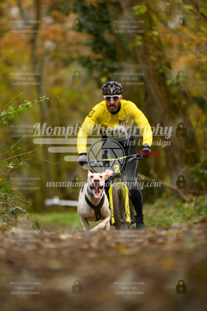 MompixPhotography_Bischwiller24_SA_VTT-3 | PayLife