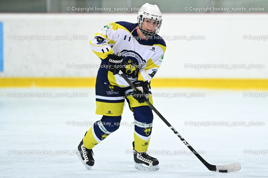 BST_6498 | hockey sports photos, Pressefotos, Sportfotos, hockey247, win 2day icehockeyleague, Handball Austria, Floorball Austria, ÖVV, Kärntner Eishockeyverband, KEHV, KFV, Kärntner Fussballverband, Österreichischer Volleyballverband, Alps Hockey League, ÖFB, 