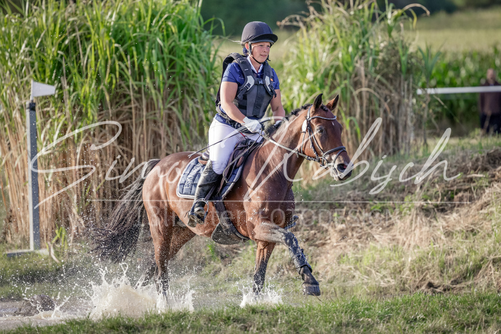 20250906-_3LI7971 | Tierfotografie Pferde, Hunde, Katzen, Haustiere.
Turnierfotografie Reitturniere, Reiten, Springreiten, Dressur in Hanau, dem Main-Kinzig-Kreis und dem Rhein-Main- Gebiet um Frankfurt