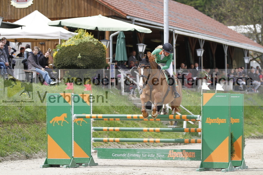 _MG_4107 | equestrian-live-com