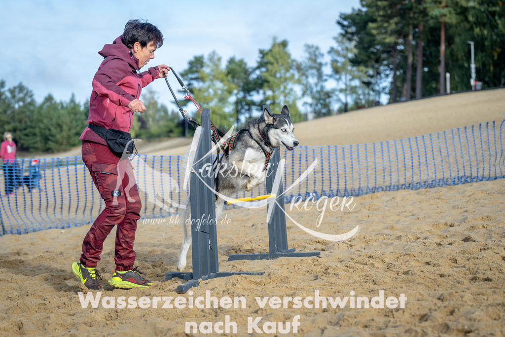 0952_ZZ92955 | kk-dogfotos