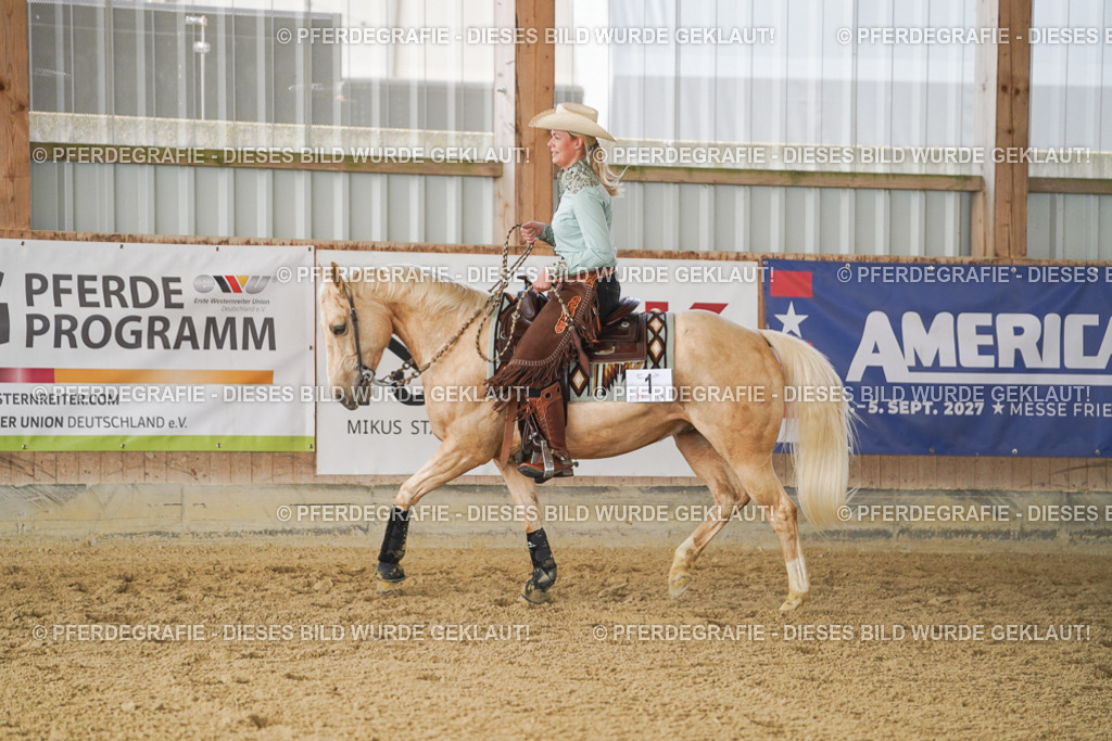 DSC01167 | Pferdegrafie